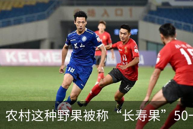 农村这种野果被称“长寿果”50一斤，农民不解其价值！用来烧火用？
