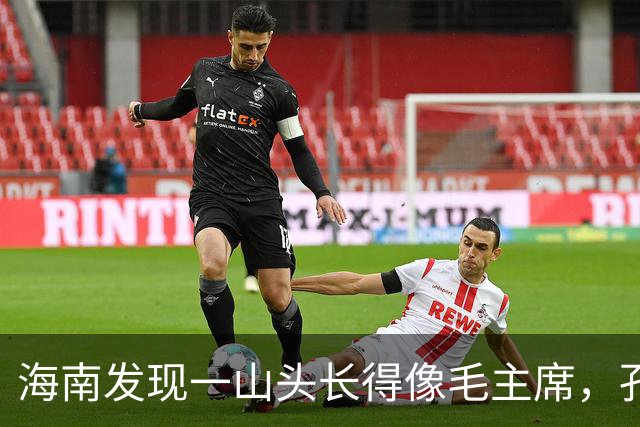 海南发现一山头长得像毛主席,孔令华初见落泪,连李讷都感慨太像
